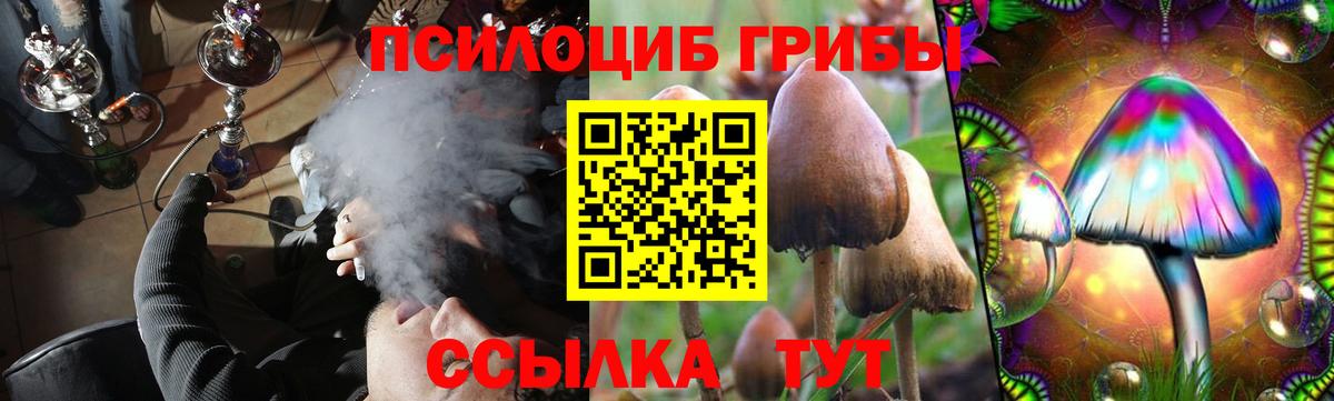 Псилоцибиновые грибы Cubensis Великий Новгород